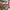 Christmas Hanging Candy Cane Lane Sign