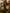 Set Of 2 Hanging Candy Cane Sweet Decorations