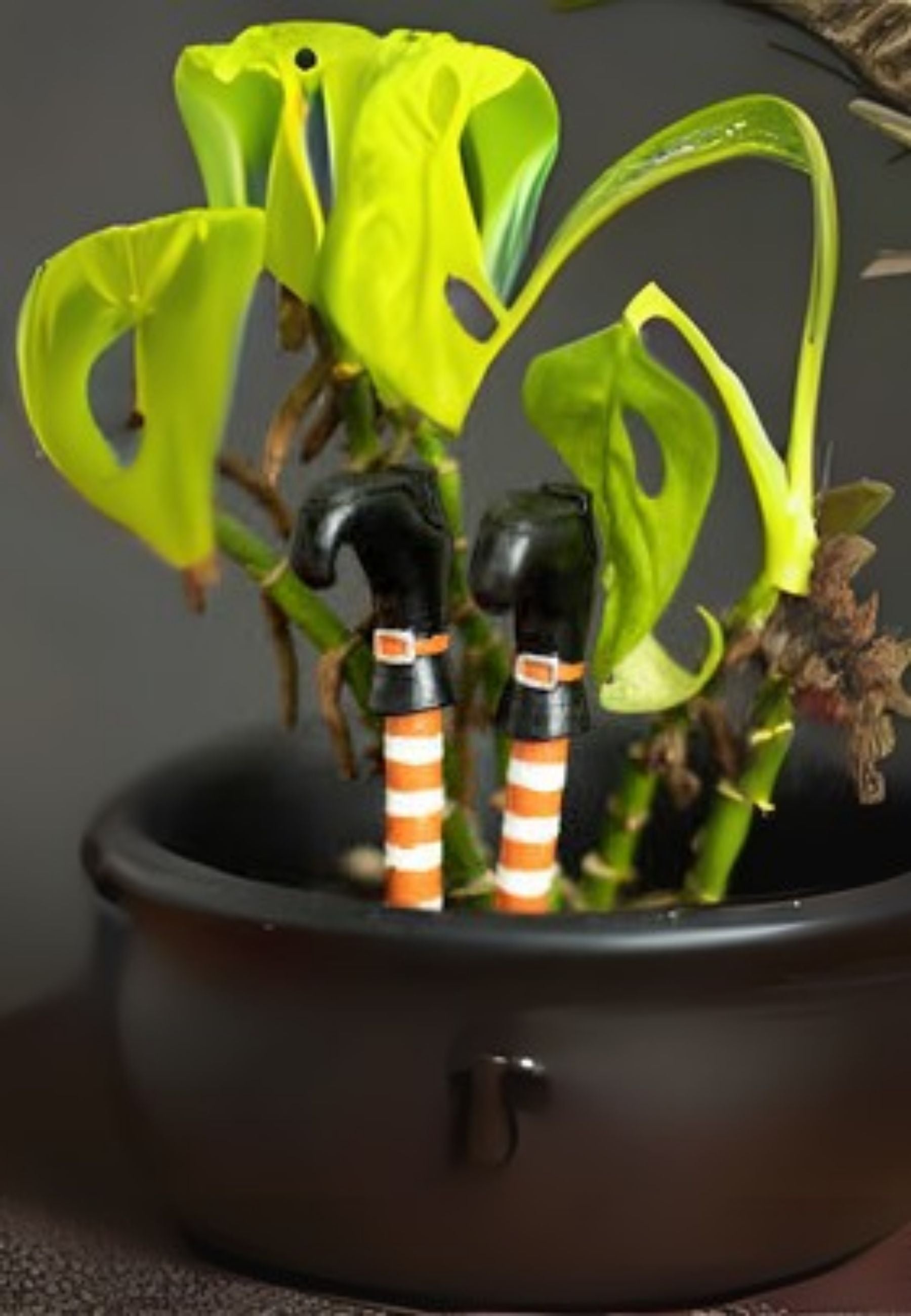 Set Of 2 Witch Legs Plant Pot Ornament