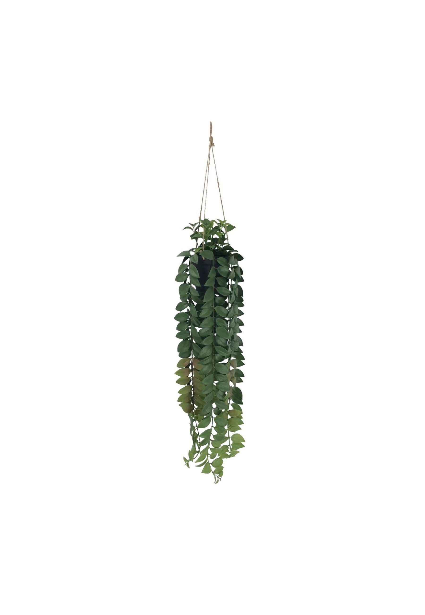 Artificial Botanica Hanging Plant Decor