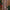 1500 LED Compact Christmas String Lights