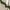 6ft Traditional Pine Effect Christmas Garland