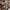 5 Pack Hanging Candy Lane Theme Baubles