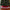 Grand Faux Fur Velvet Tree Skirt