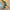 9ft Pre-Lit Champagne Twinkling Garland