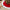 66 Inch Grand Faux Fur Red Tree Skirt