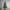 6ft Artificial Pre-Lit Christmas Tree