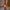 4ft Giant Festive Light-Up Teddy Cracker