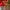 4ft Giant Festive Light-Up Teddy Cracker