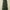 6ft King Pine Ultra Slim Artificial Christmas Tree