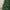 5ft King Pine Artificial Christmas Tree