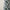 5ft Snowy King Pine Ultra Slim Artificial Christmas Tree