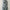 6ft Snowy King Pine Ultra Slim Artificial Christmas Tree