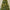 5ft King Pine Pre-Lit Christmas Tree