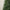 8ft King Conifer Artificial Christmas Tree