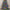 6ft Regal KingTree Pre-Lit Christmas Tree