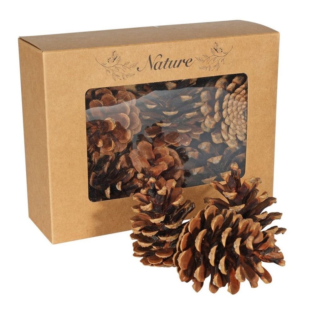 Box of 9 Natural Dried Autumn Pine Cones Set