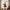 Extendable Standing Halloween Witch