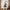 Extendable Standing Halloween Witch