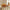Vibrant Russet Autumn Foliage Bouquet