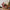 Animated Musical Light Up Santa Sleigh