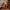 Animated Santa Claus In Armchair Figure