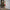 Tall Gold Twist Christmas Lamp Post