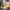 Gold Weave Christmas LED Star Decoration