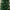 7ft King Pine Ultra Slim Artificial Christmas Tree