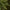 8ft Noble King Conifer Pre-Lit Christmas Tree