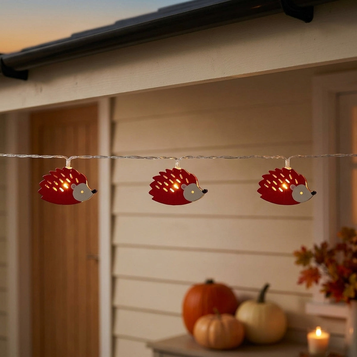 10 LED Hedgehog Outdoor Pathway Lights