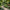 Helix Rustic Leaf Outdoor Garden Arch