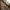 Luminous Pinecone LED Garden Garland