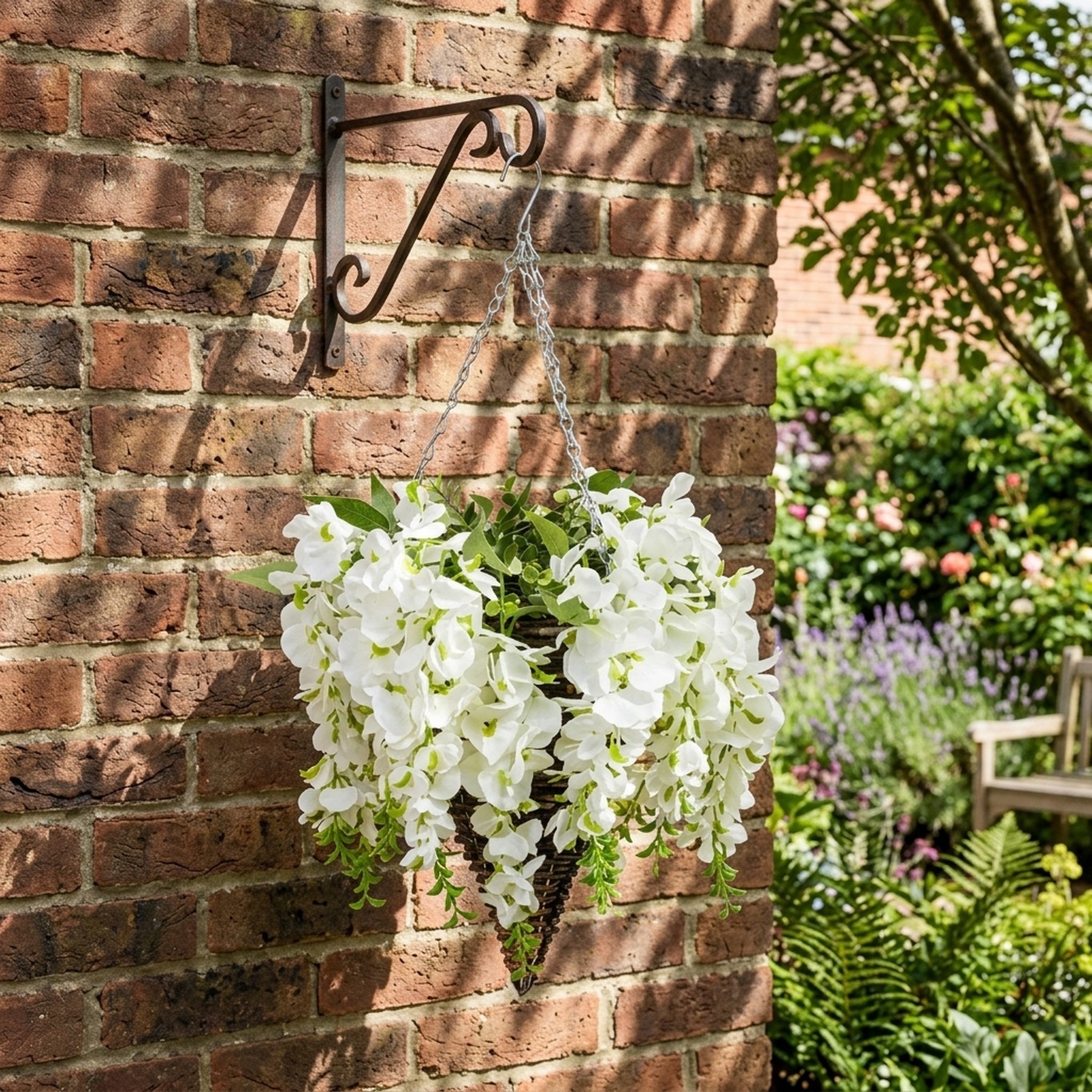 Lunaria Blanc Cascading Wisteria Hanging Basket