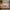 NeonEsque Happy Vibes LED Neon Sign Light