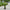 Realistic Artificial Potted Sisal Garden Plant