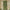Expandable Maple Leaf Willow Trellis