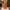 Red Gold Braid Christmas Tree Light