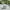Sculptural 3D Fish Garden Planter Pot