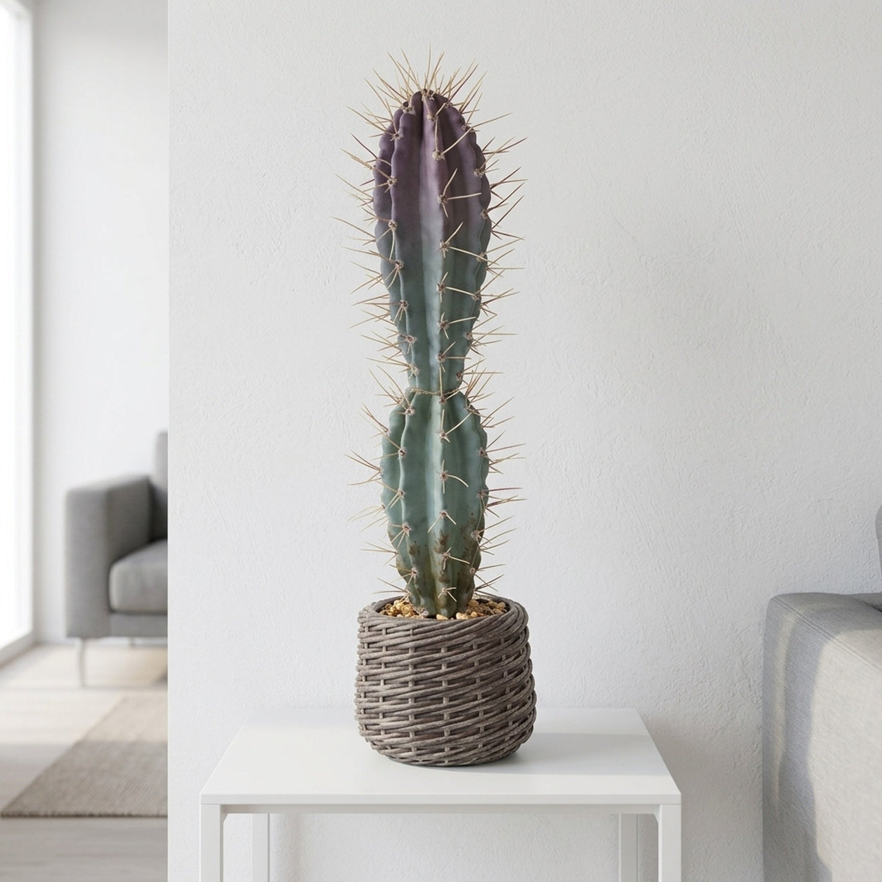 Artificial cactus in EVA Basket