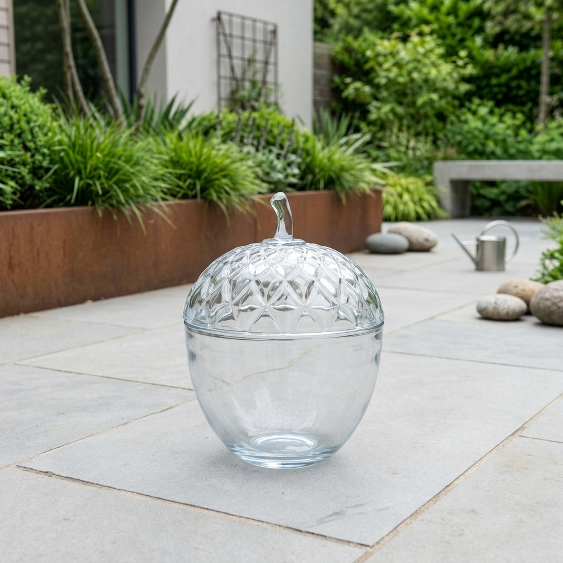 Clear Glass Acorn Tabletop Display Pot