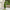Artificial Rattan Pot Obelisk Tree