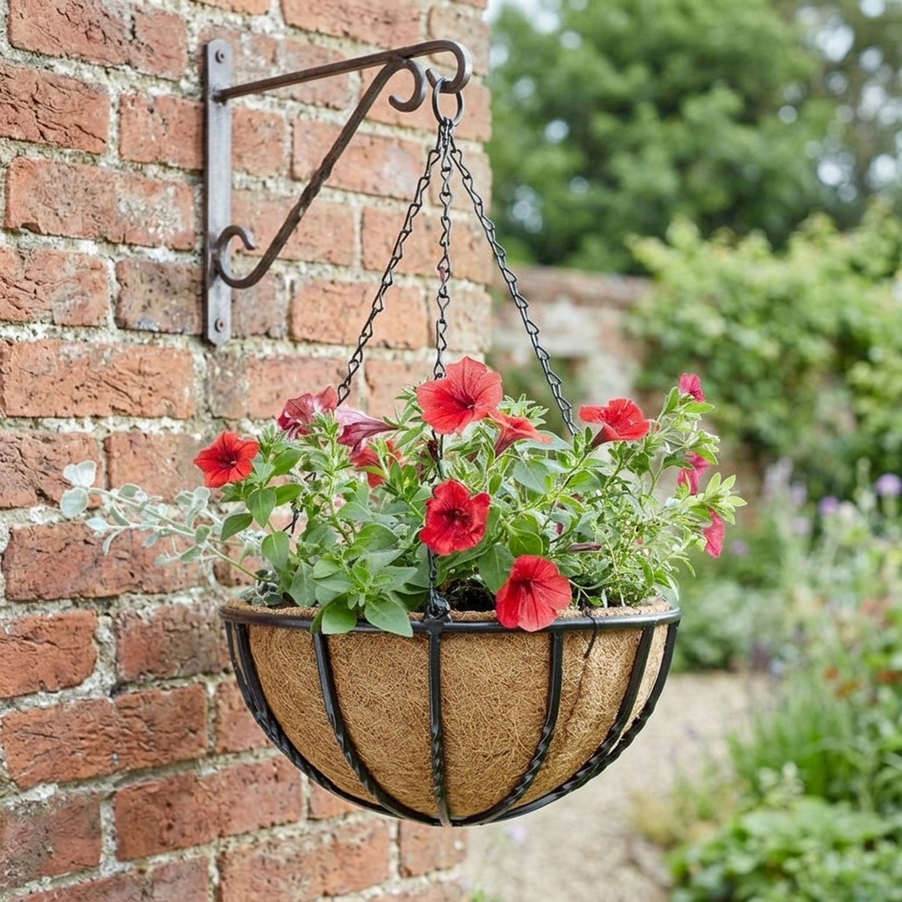 Forge Metal Hanging Basket with Coco Liner
