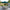 Push Button Garden Parasol Shade