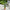 Artificial Potted Cereus Garden Cactus