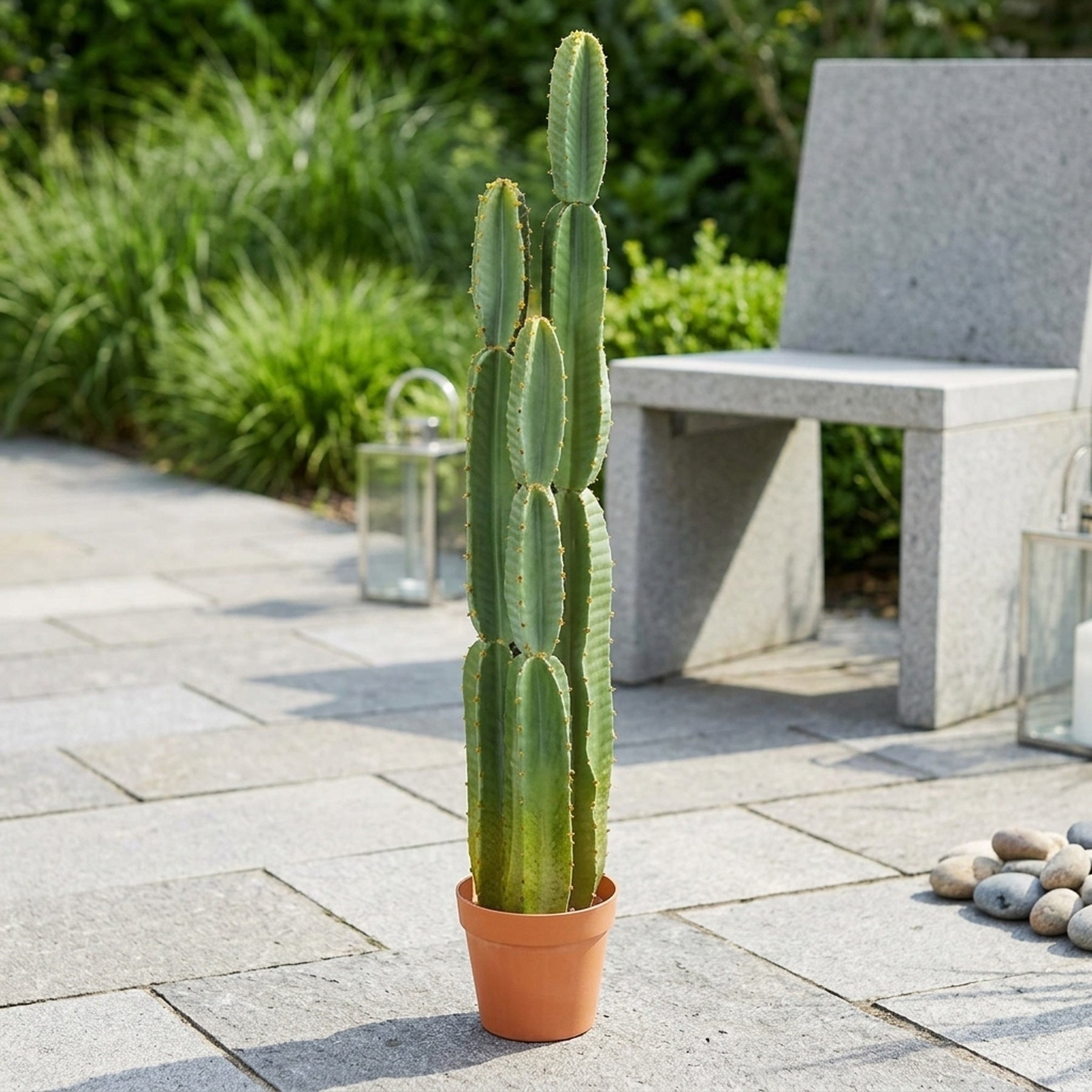 Artificial Potted Cereus Garden Cactus