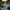 Solar Fairies Under Garden Lamp Post Light