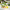 Pastel Easter Party Bubble Decorations