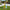 Children's Outdoor Championship Cricket Set