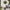 Lifelike Potted Bay Ball Foliage Tree